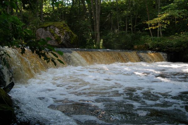 ../Images/842 J04in.jpg